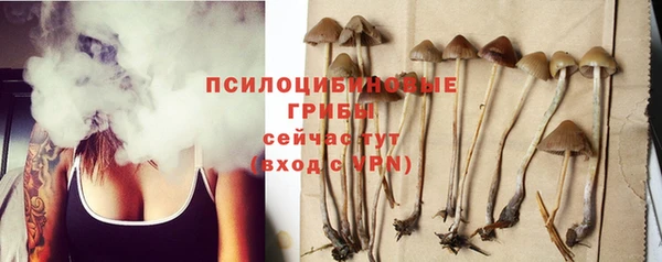 гашик Балахна