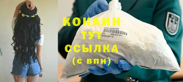 гашик Балахна