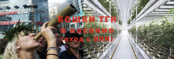 гашик Балахна