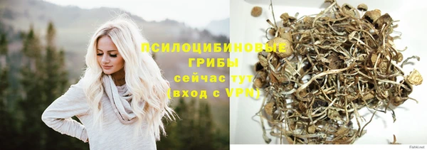 стаф Балабаново
