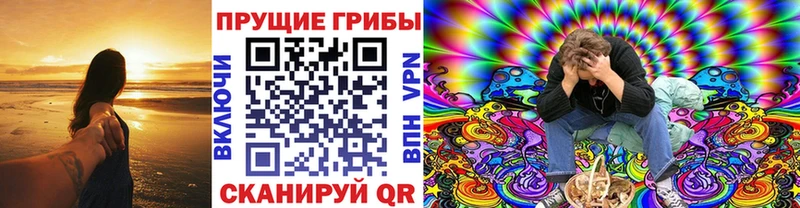 Купить где  Суровикино  Псилоцибиновые грибы MAGIC MUSHROOMS 